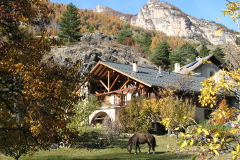 Montagne et forêts 